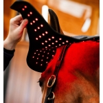 Horseware LED Red Light Therapy Poll Cap Horseware LED Red Light Therapy Poll Cap